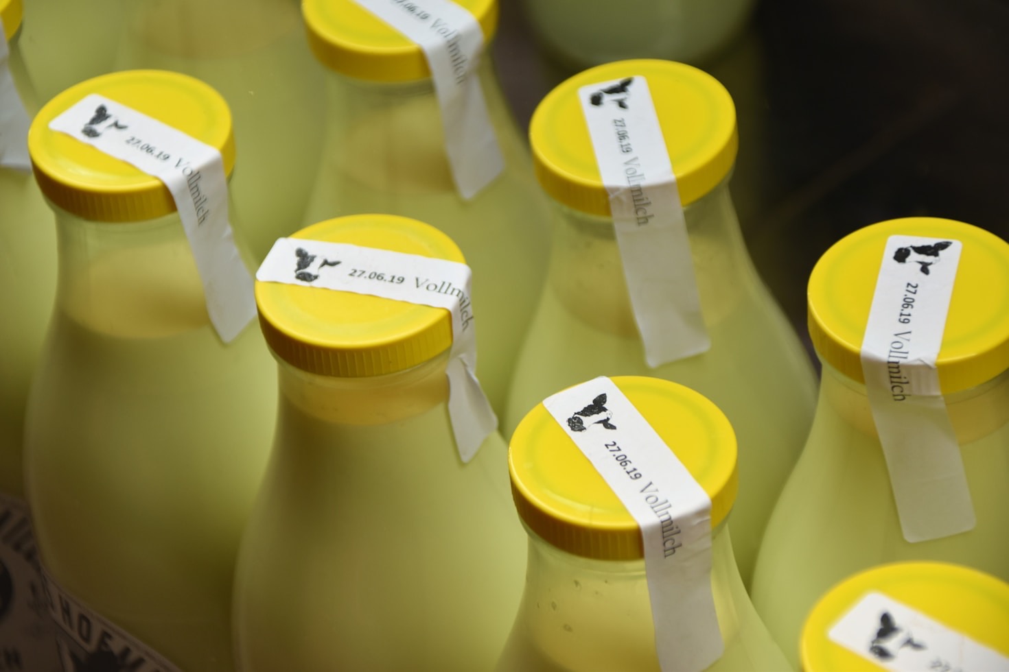 The Craftsmanship Behind Glamorgan Artisan Cheese