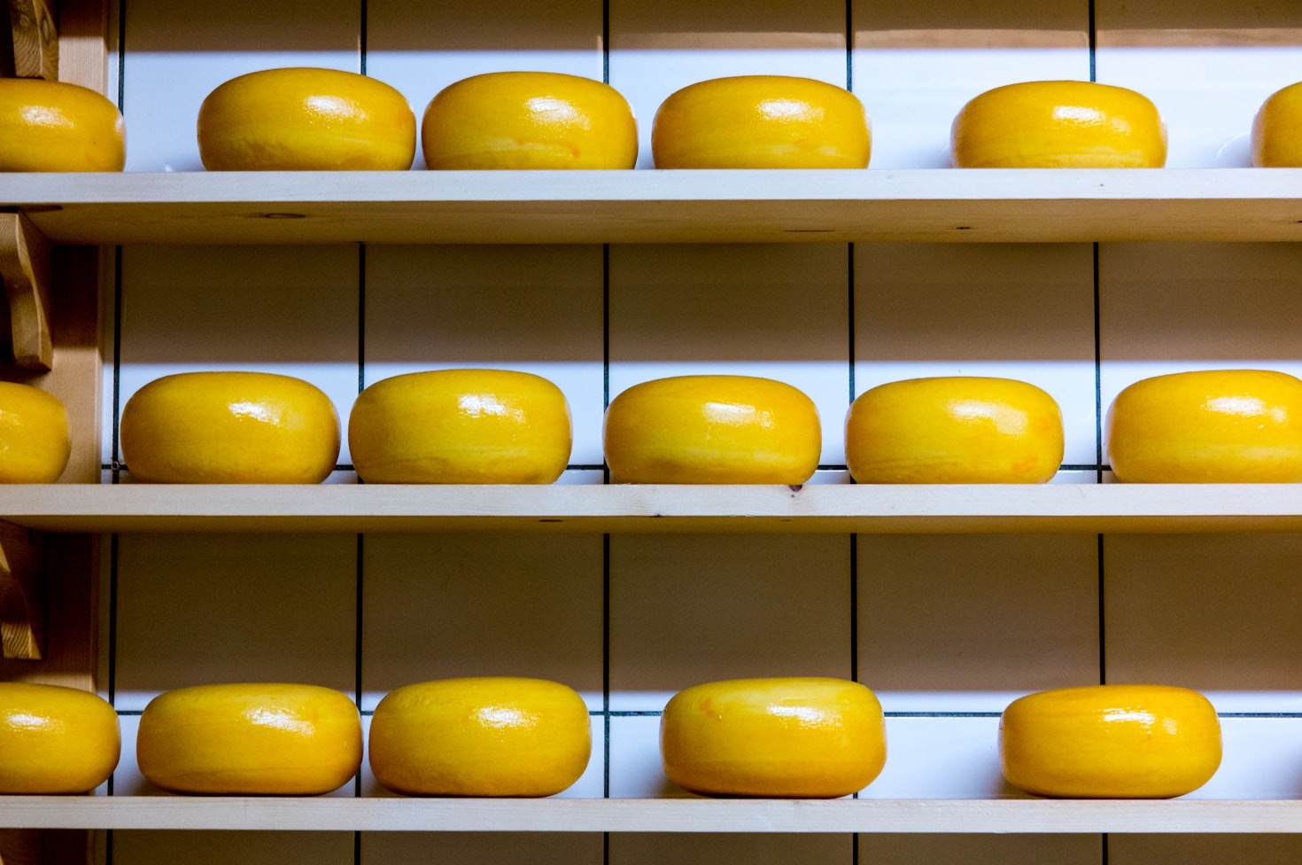 Exploring the Vale of Glamorgan’s Dairy Legacy